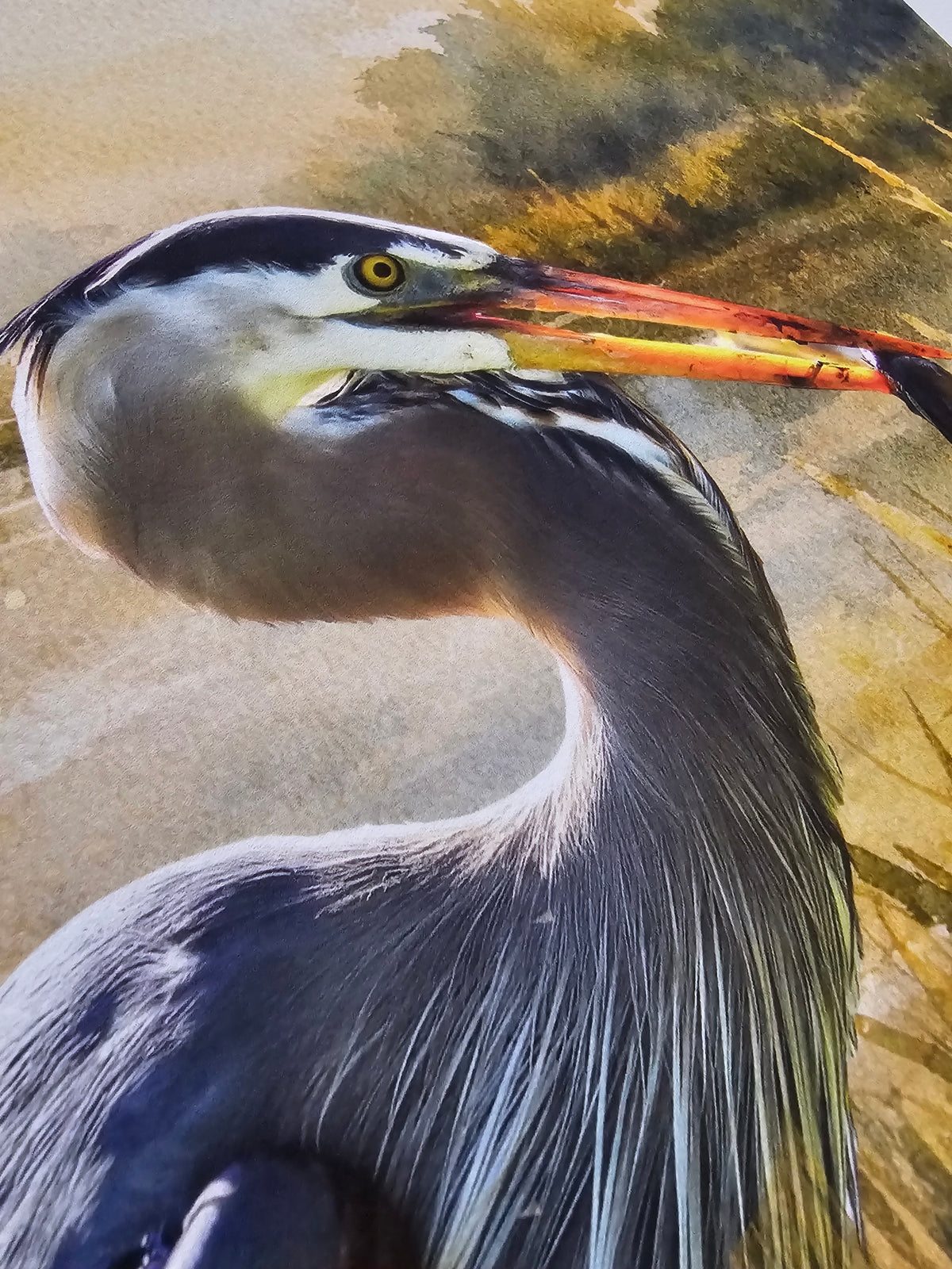 Close-up of a heron with detailed feathers and beak on a textured background