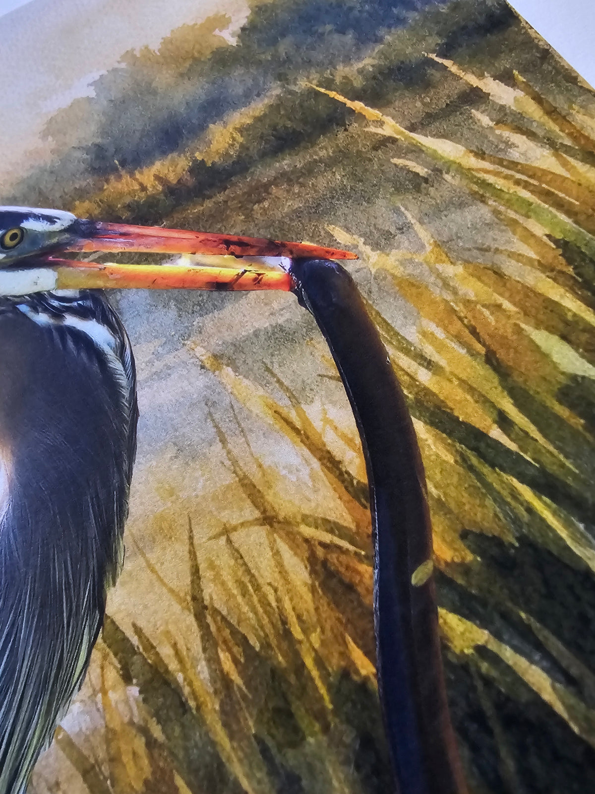Artistic depiction of a bird with a long beak against a natural background