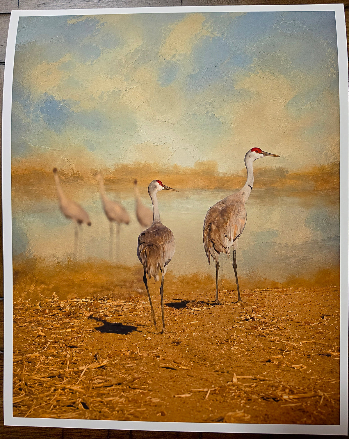 Artistic depiction of cranes on a textured surface with abstract background