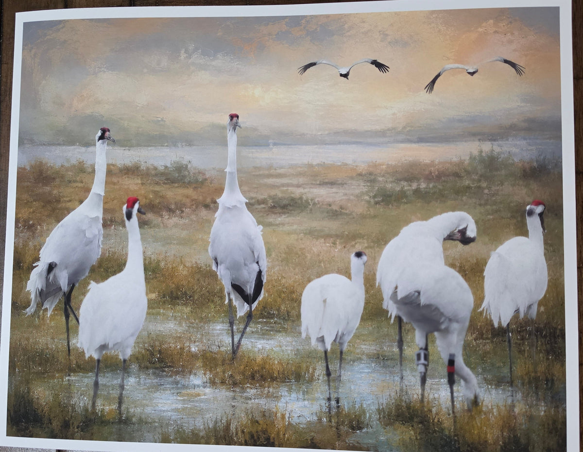 Painting of cranes in a natural setting with a wooden frame.