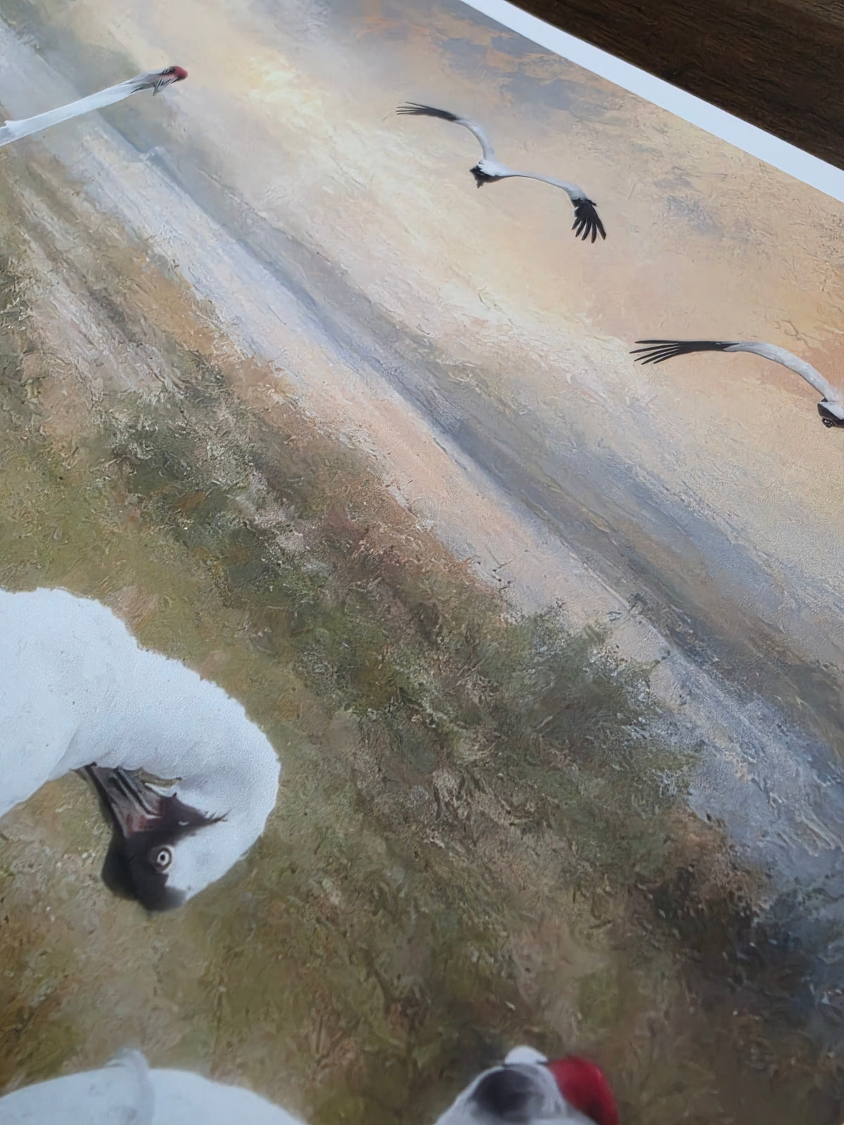 Two snowy egrets on a snowy ground with a blurred background