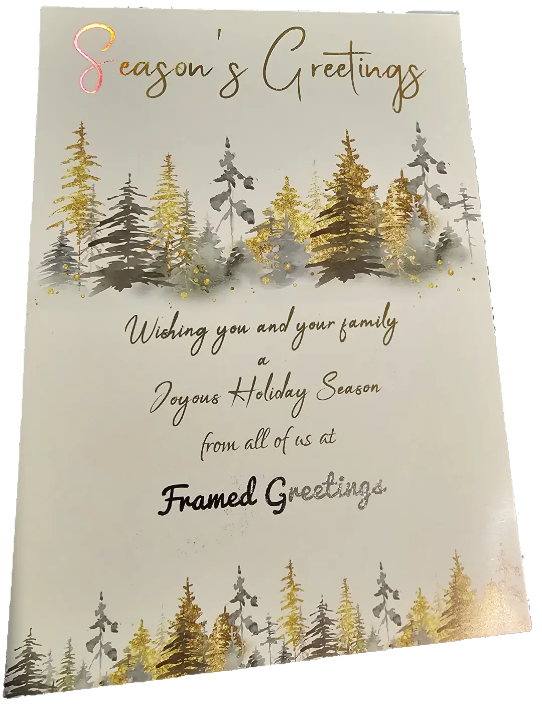 Custom Holiday Cards - Glossy Framed Greetings