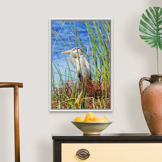 Blue Heron Antoinette Washington Photography