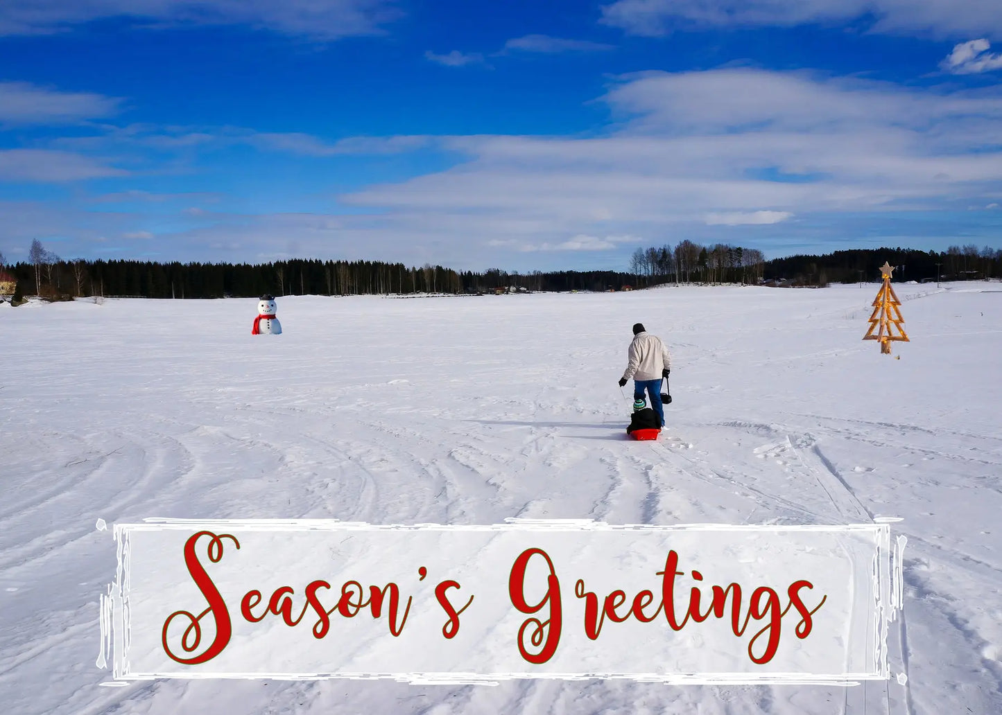 Christmas Family Greetings Antoinette Washington Photography