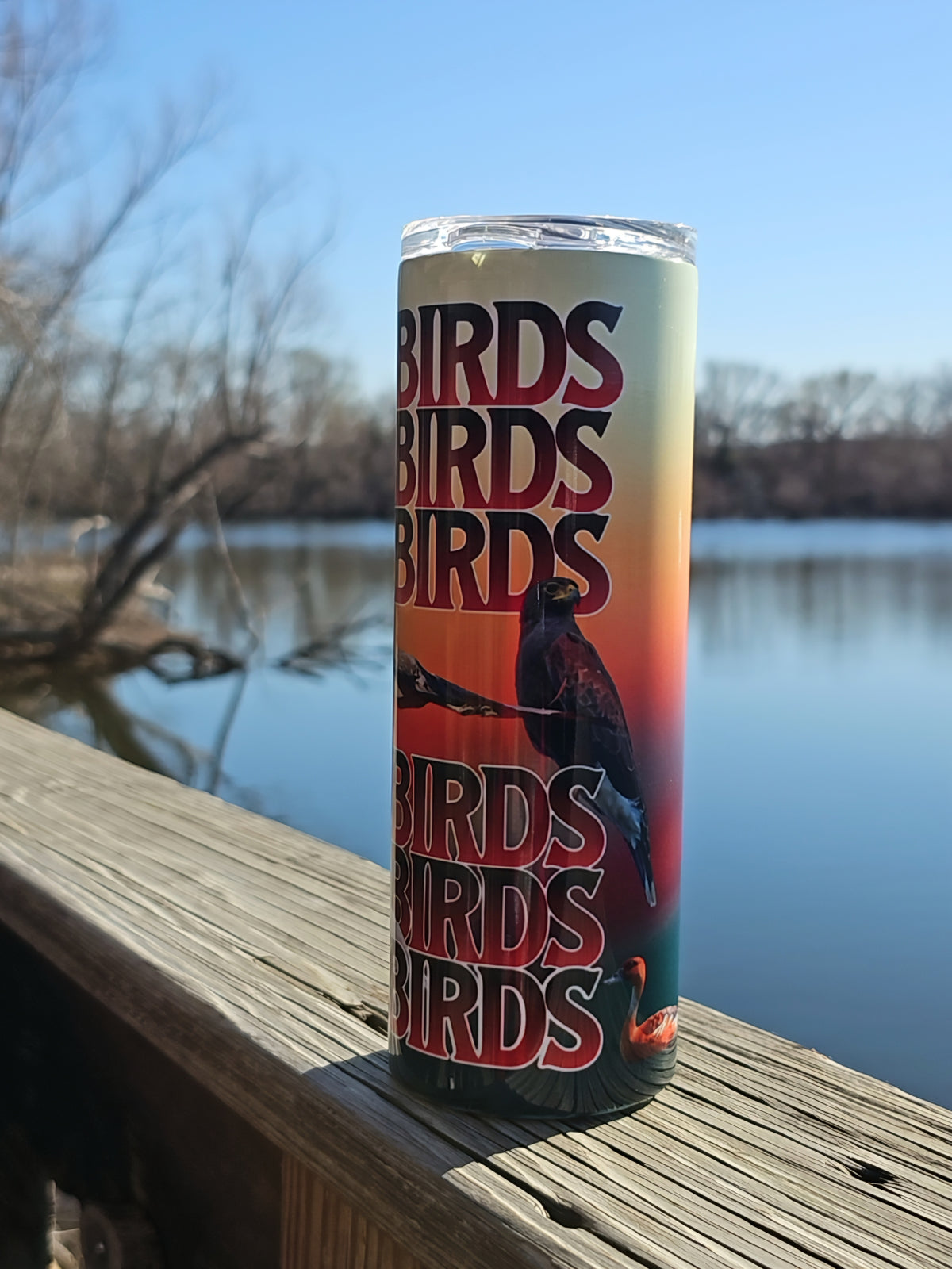 Skinny Tumblers - Birdwatching - Framed Greetings
