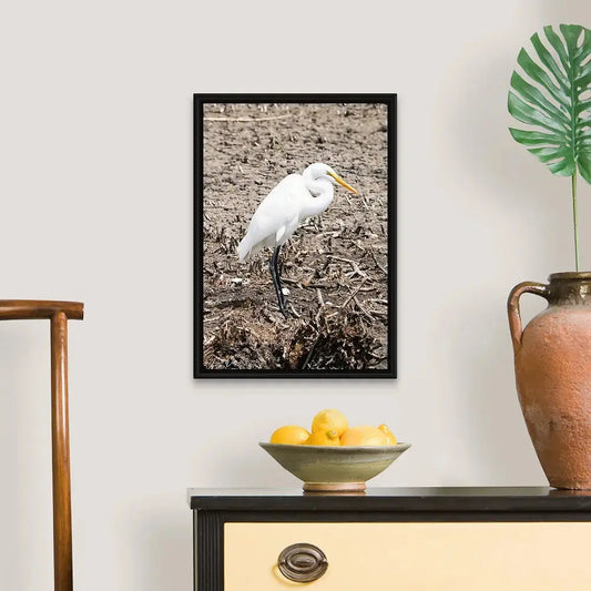 Runway Egret  3 Antoinette Washington Photography