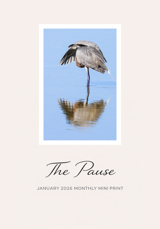 The Monthly Mini Collector Series — Original Art by Framed Greetings