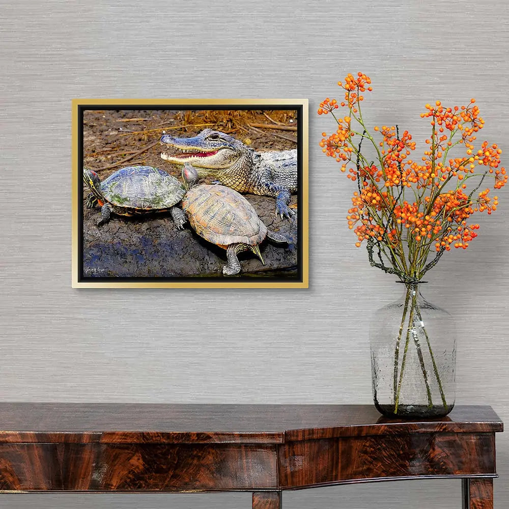 Reptile Soup Antoinette Washington Photography