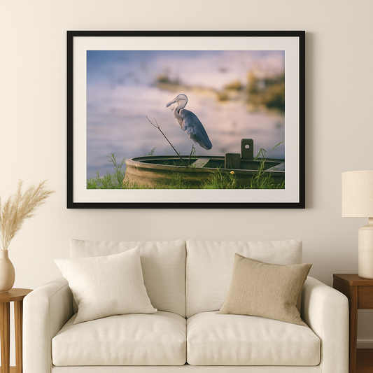 Quietude no Refúgio - Garça-azul-pequena