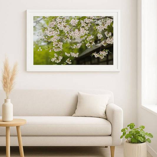 Sussurros de flores de cerejeira