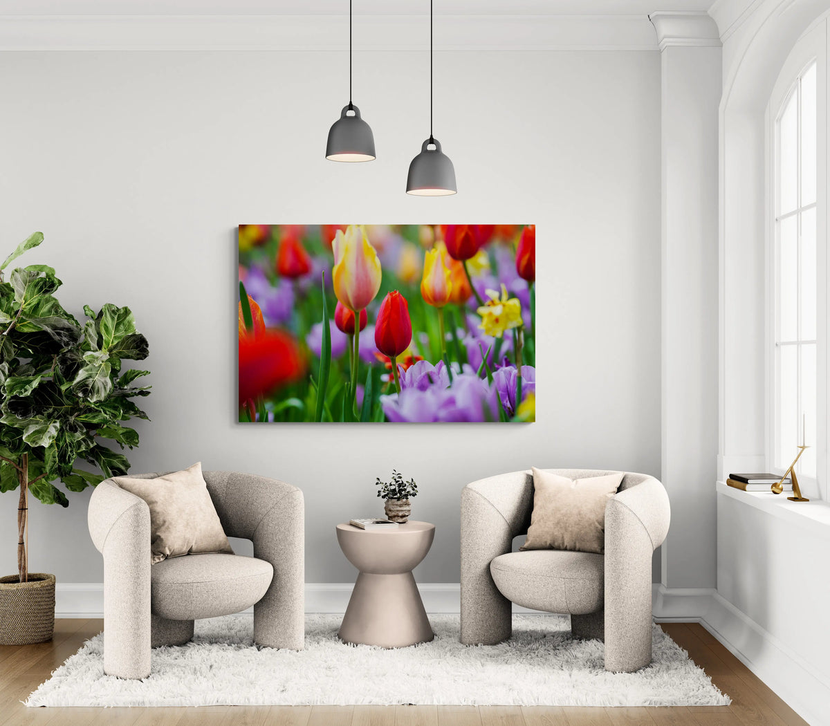 Tulip Bulbs Antoinette Washington Photography