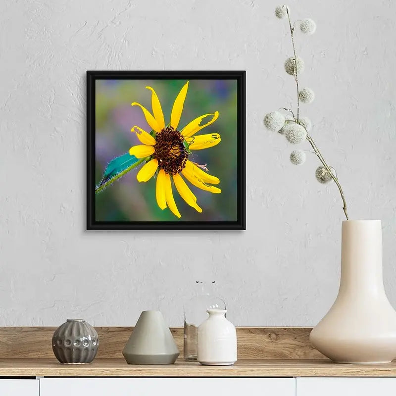 Perfectly Imperfect Wildflower Antoinette Washington Photography