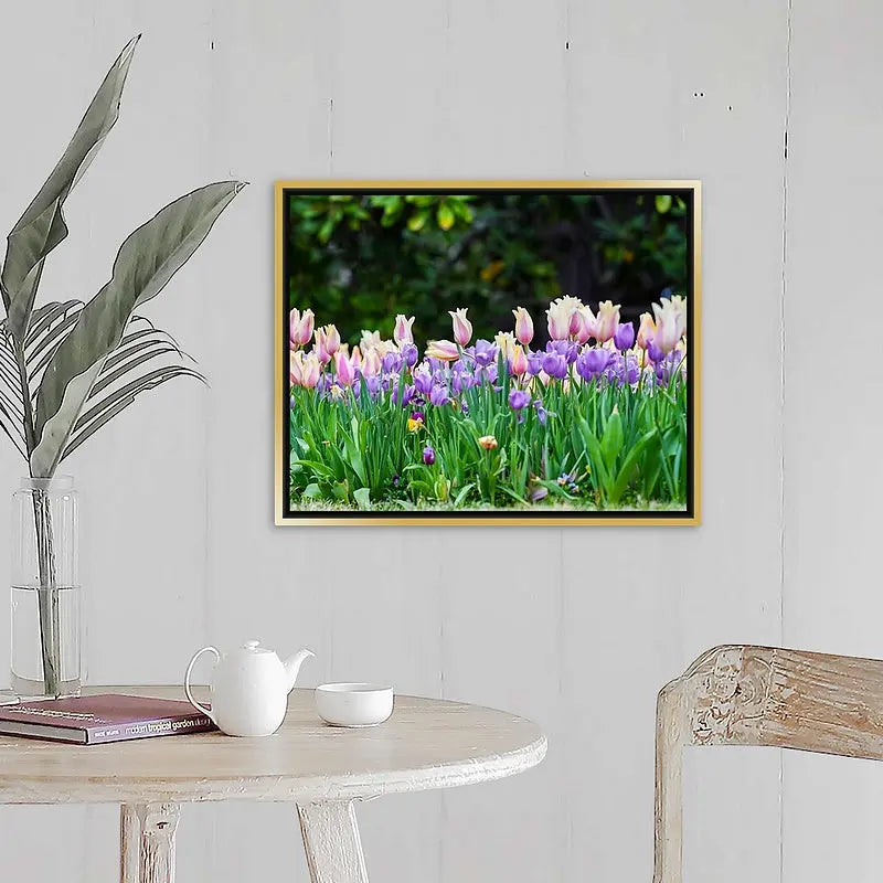 Field of Tulips Antoinette Washington Photography