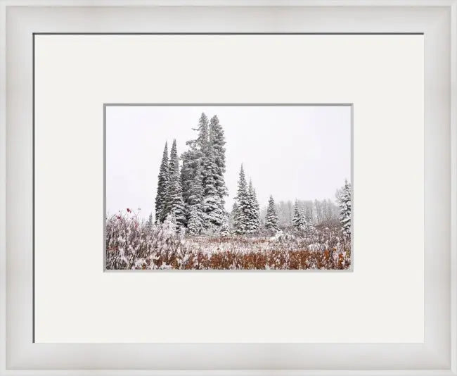 First Snow - Joy Antoinette Washington Photography