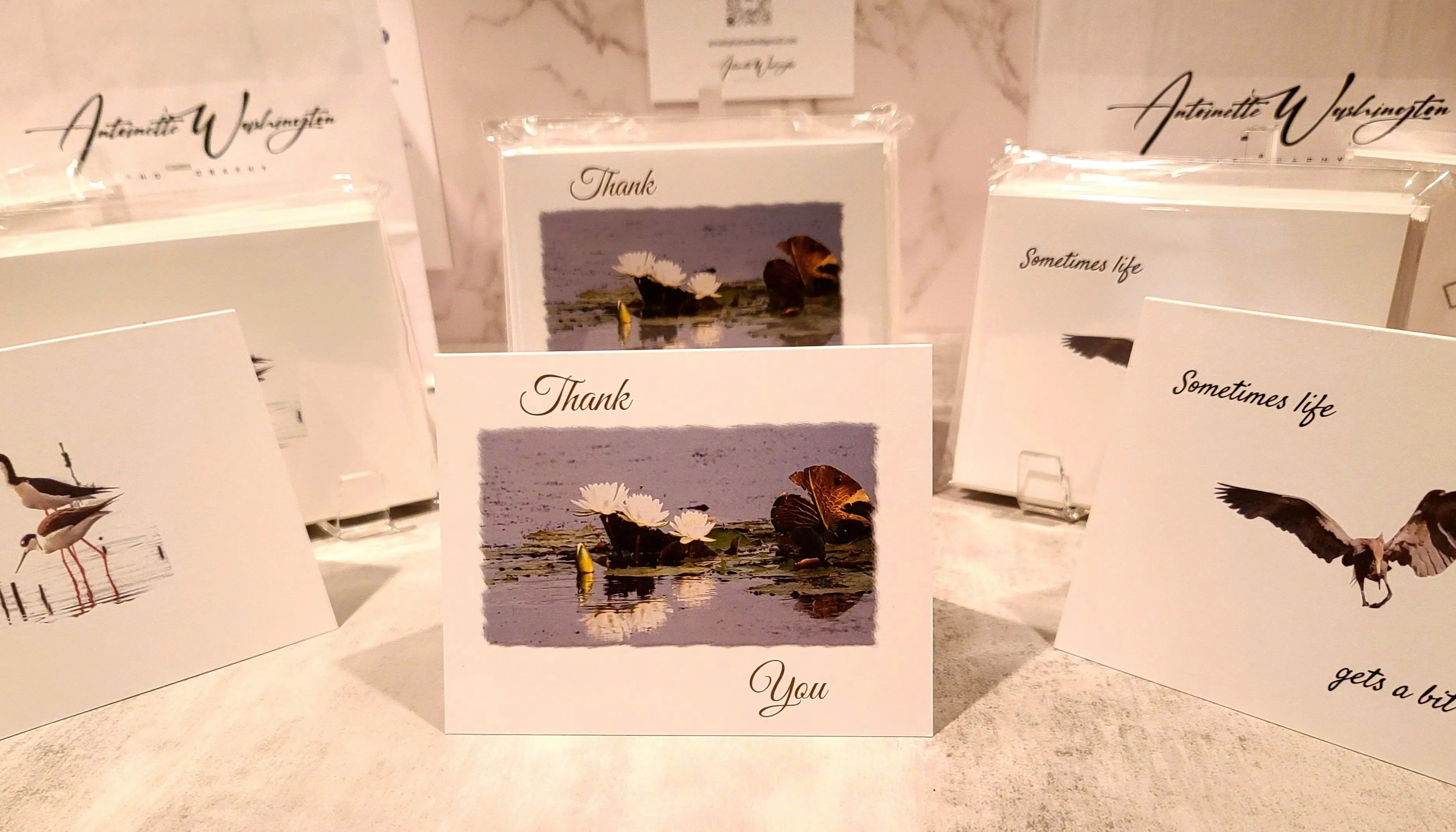 Note Frame Card Note Cards - Framed Greetings