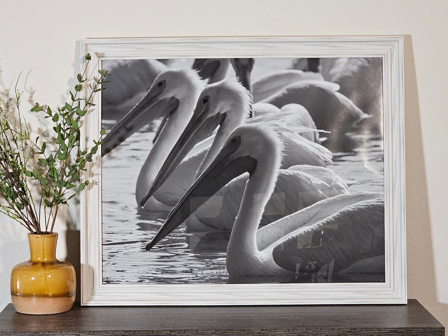 Photography Framed Greetings