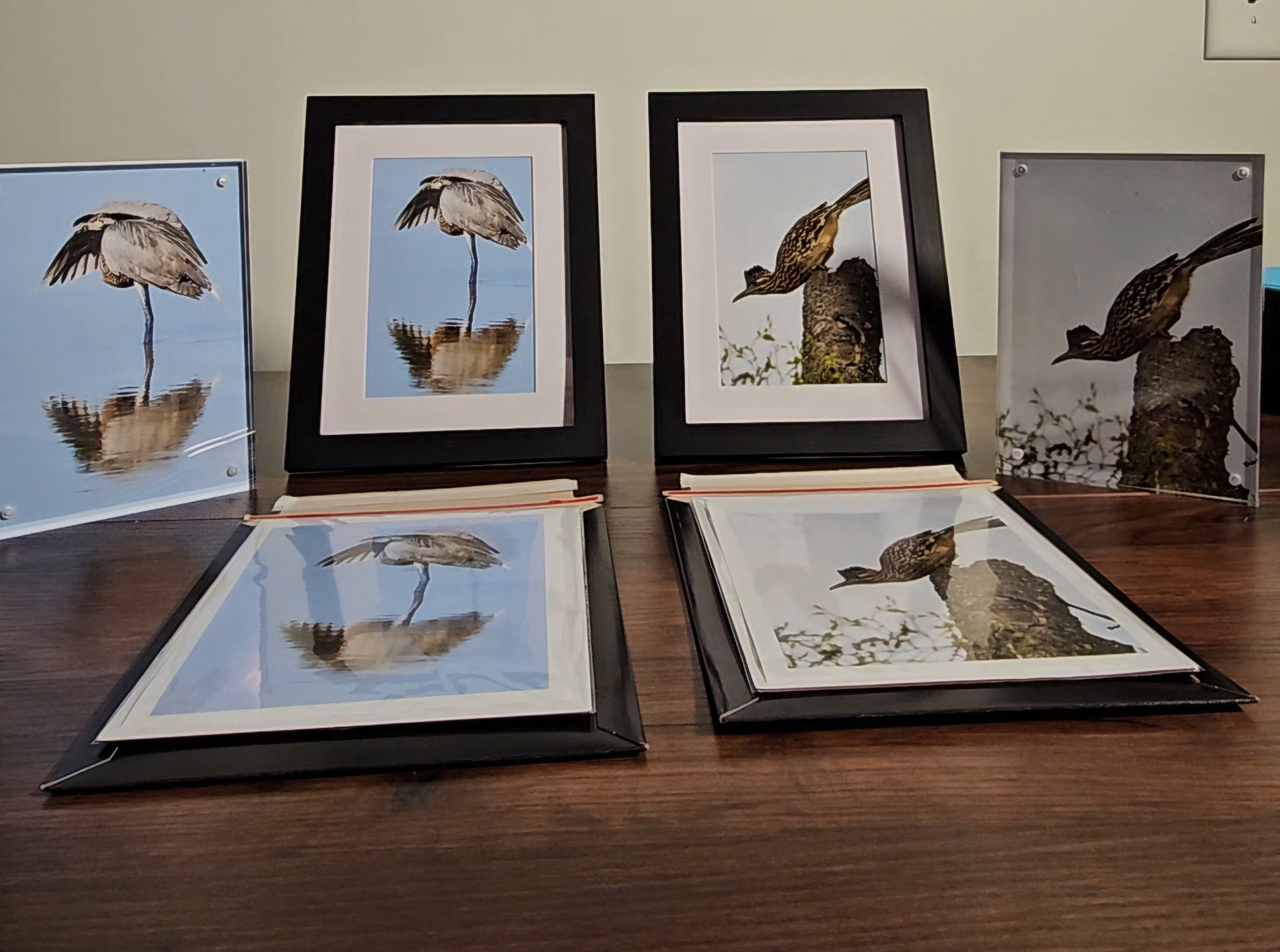 Framed artworks of birds on a wooden surface with a wall painting in the background.