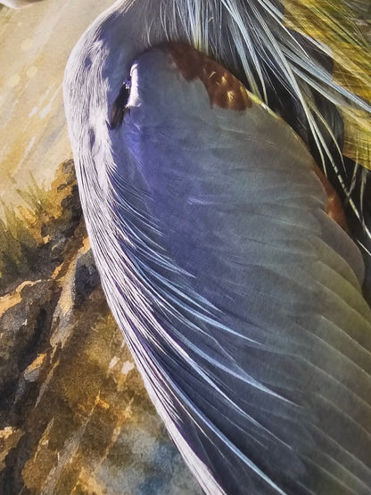 Morning Catch – Mixed Media Wildlife Art Print