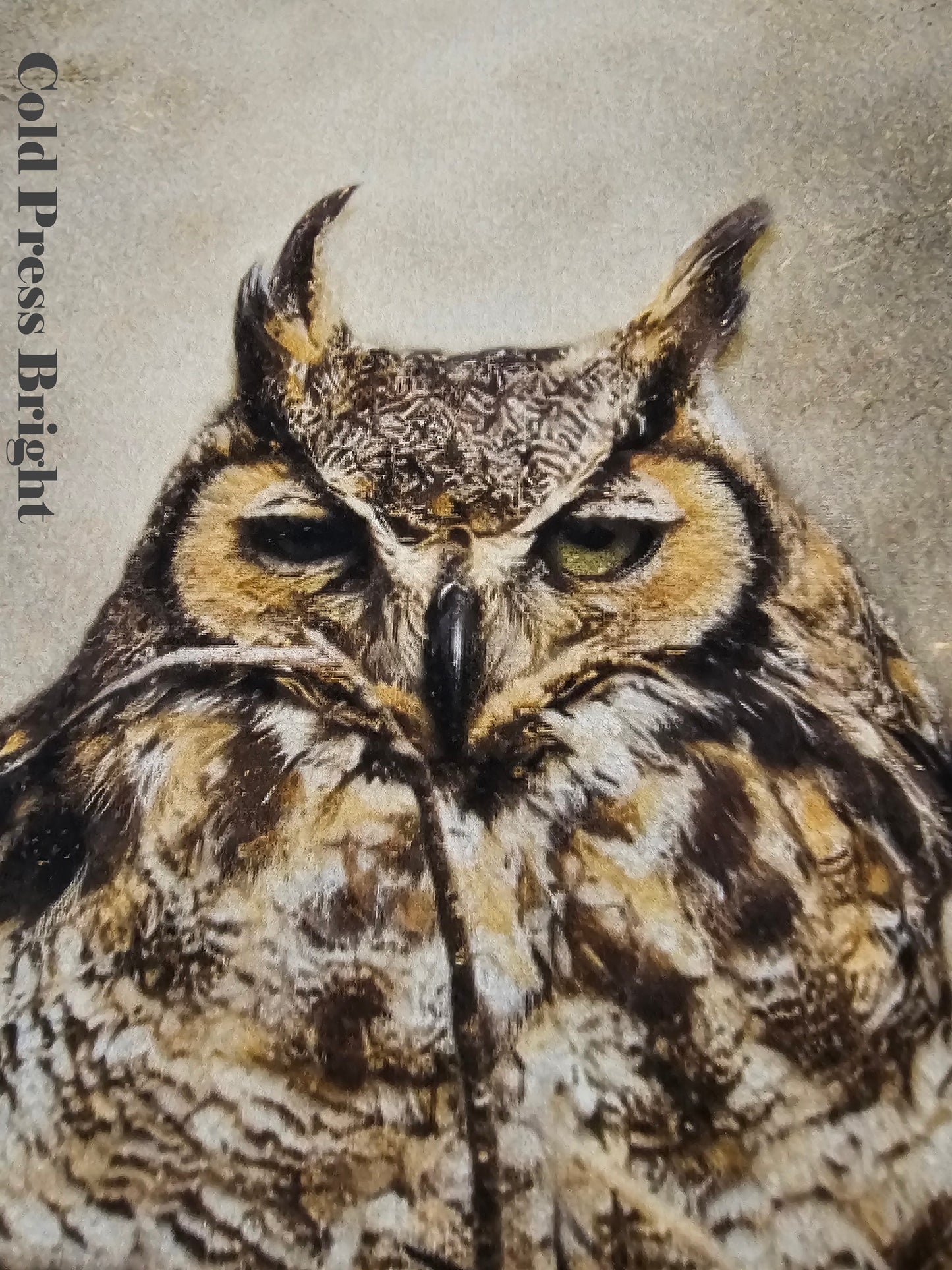 Close-up of an owl with 'Cold Press Bright' text on a textured background