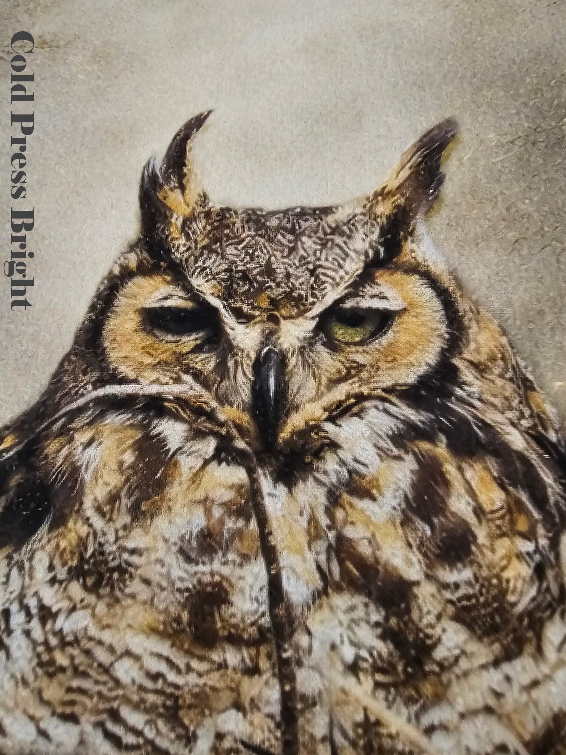 Close-up of an owl with 'Cold Press Bright' text on a textured background
