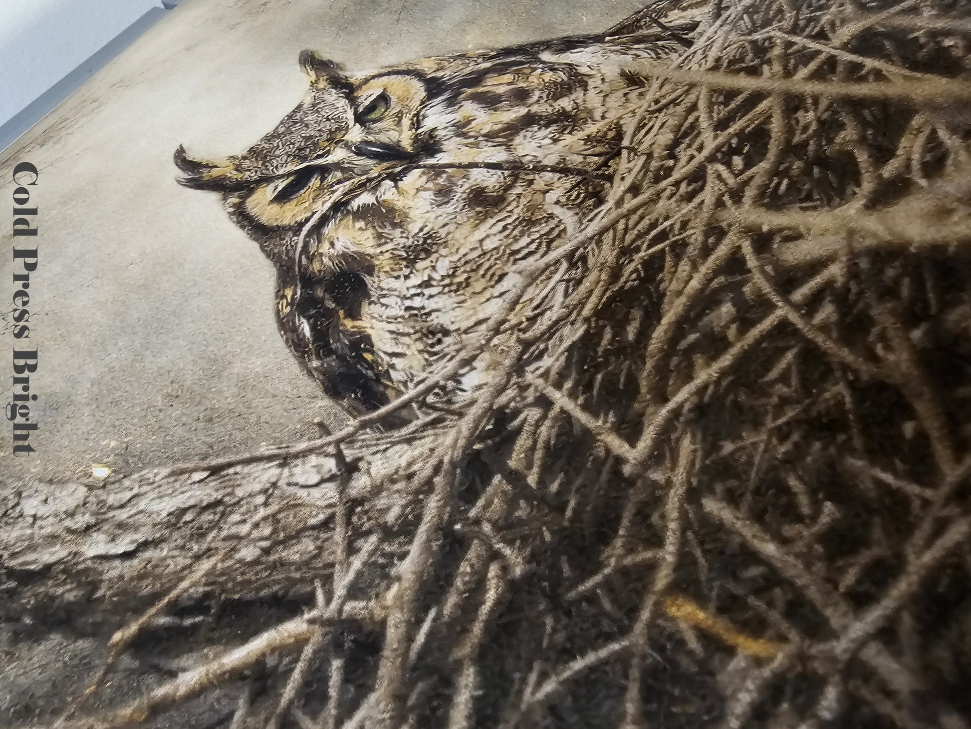Owl in a nest with 'Cold Press Bright' paper in the background