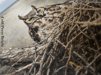 Owl in a nest with 'Cold Press Bright' paper in the background