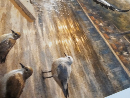 Two birds on a textured surface with a blurred background