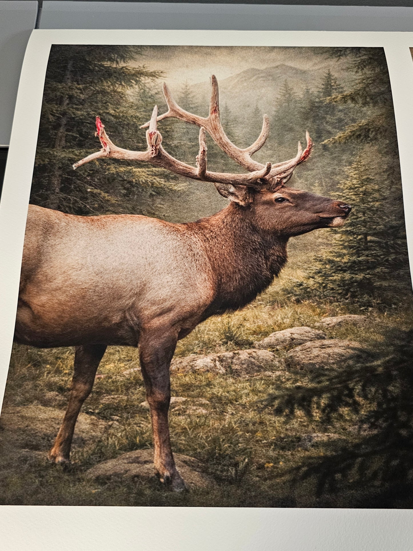 TV screen displaying an image of a deer with large antlers against a natural background