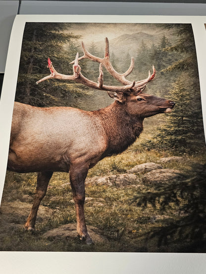TV screen displaying an image of a deer with large antlers against a natural background