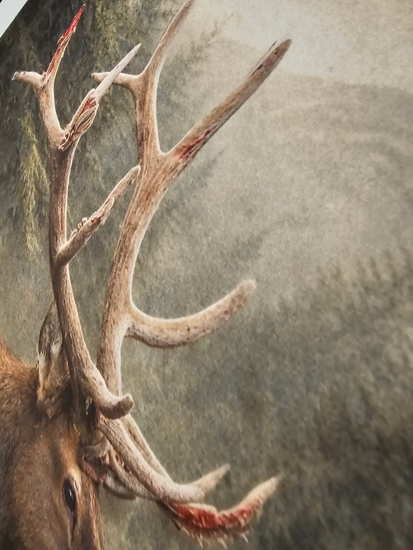 Close-up of a deer with large antlers against a textured background