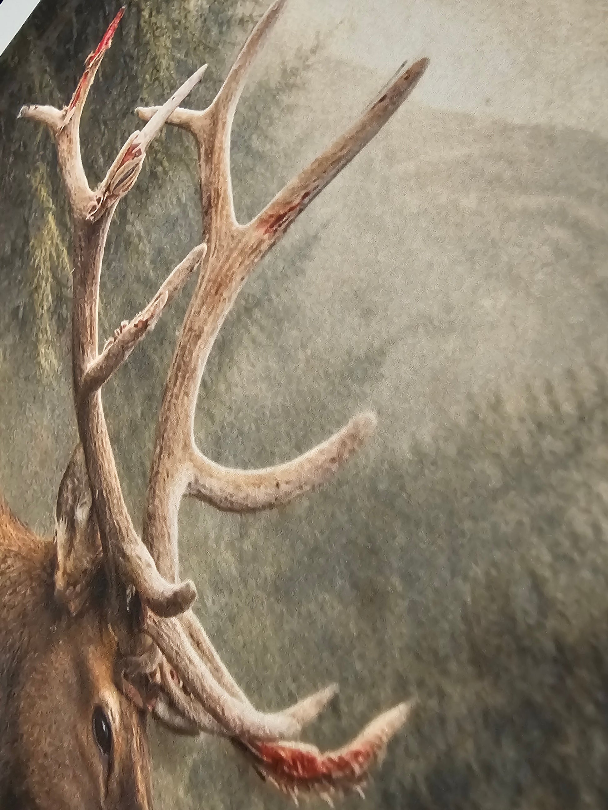 Close-up of a deer with large antlers against a textured background
