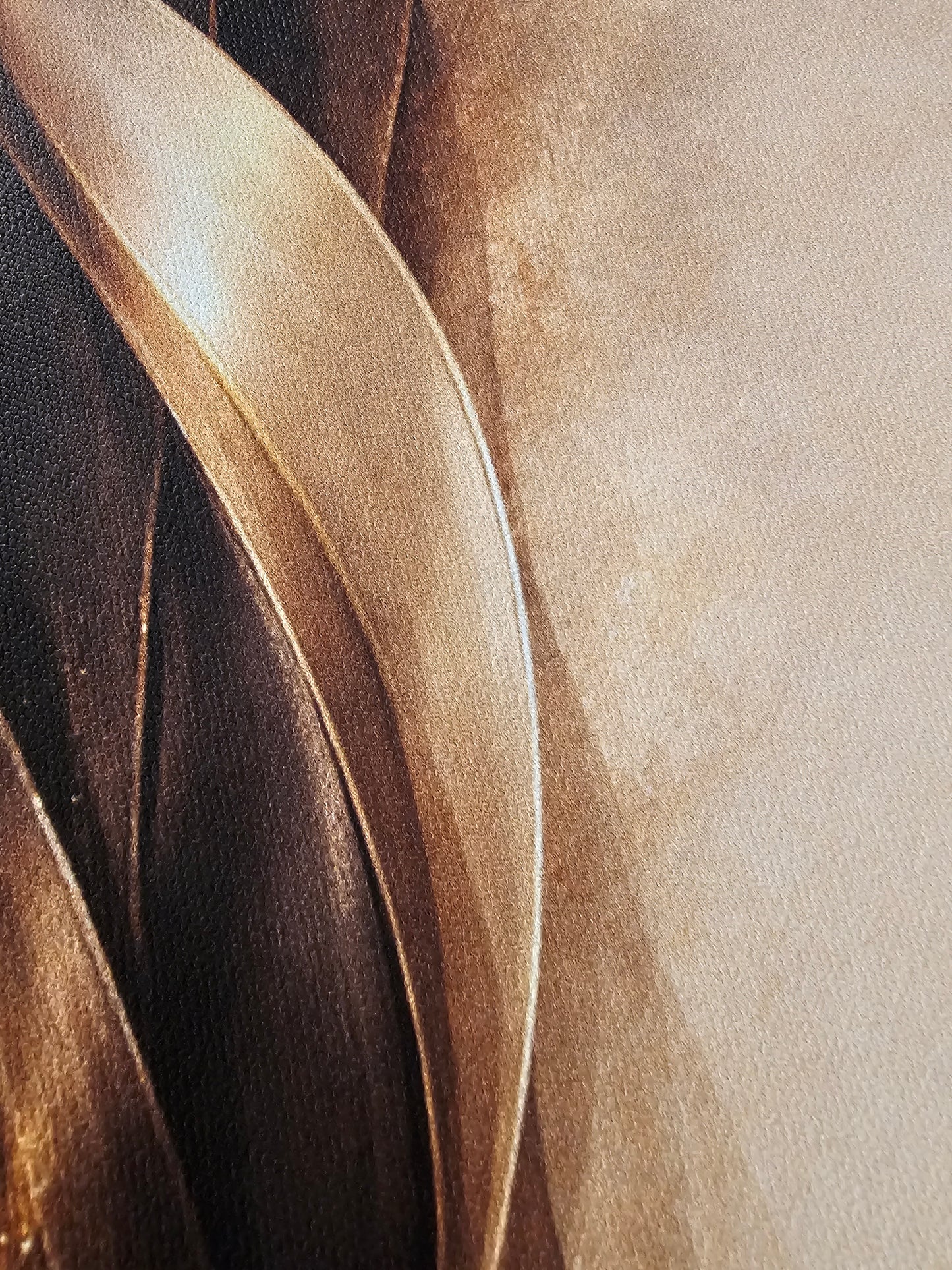 Close-up of a feather with a brown and beige gradient background