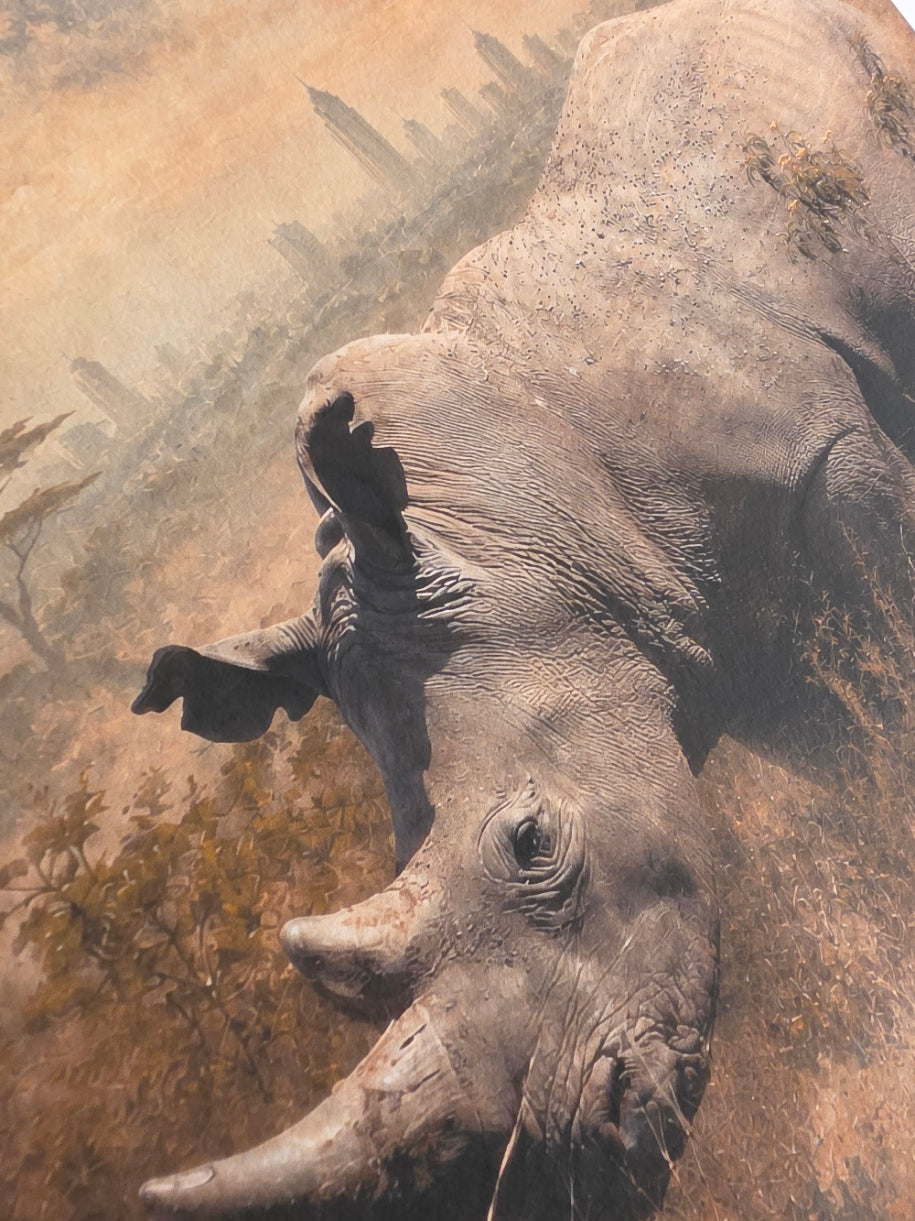 Close-up of a rhinoceros with a blurred natural background