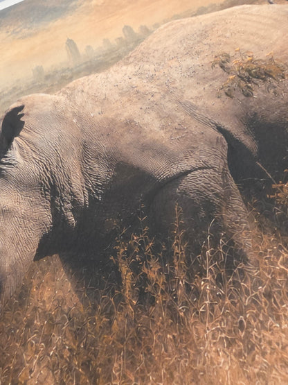 Close-up of an elephant's textured skin on a sandy surface
