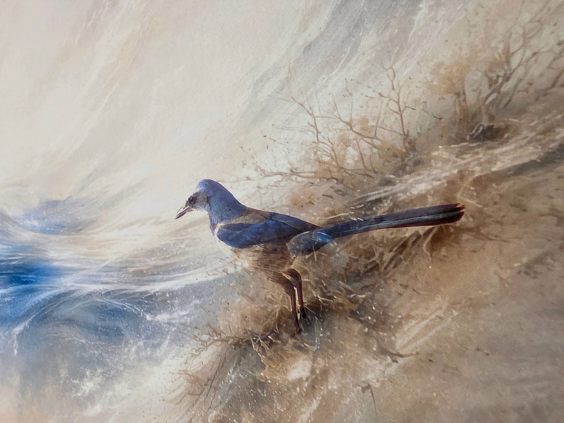 Bird on a rocky shore with water and sand in the background