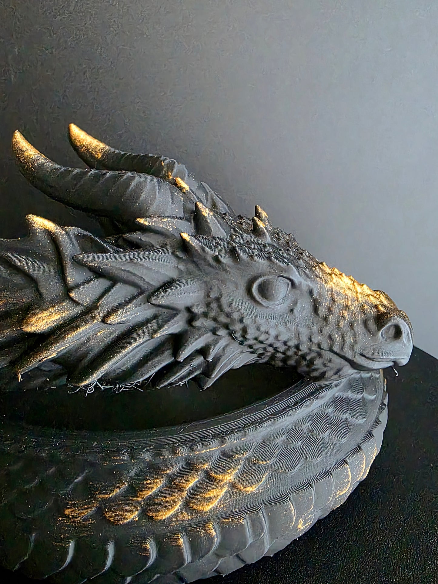Guarded Treasure