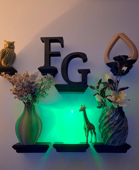 Decorative wall-mounted black letters 'FG' above three black shelves, with vases, dried flowers, a small giraffe figurine, and a wall-mounted black and beige sculpture against a light wall with green ambient lighting.
