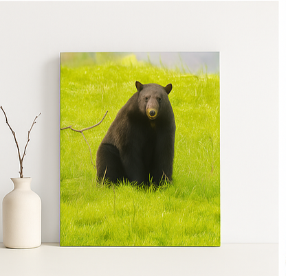 Stillness and Strength – Black Bear Photography Print | Framed Greetings