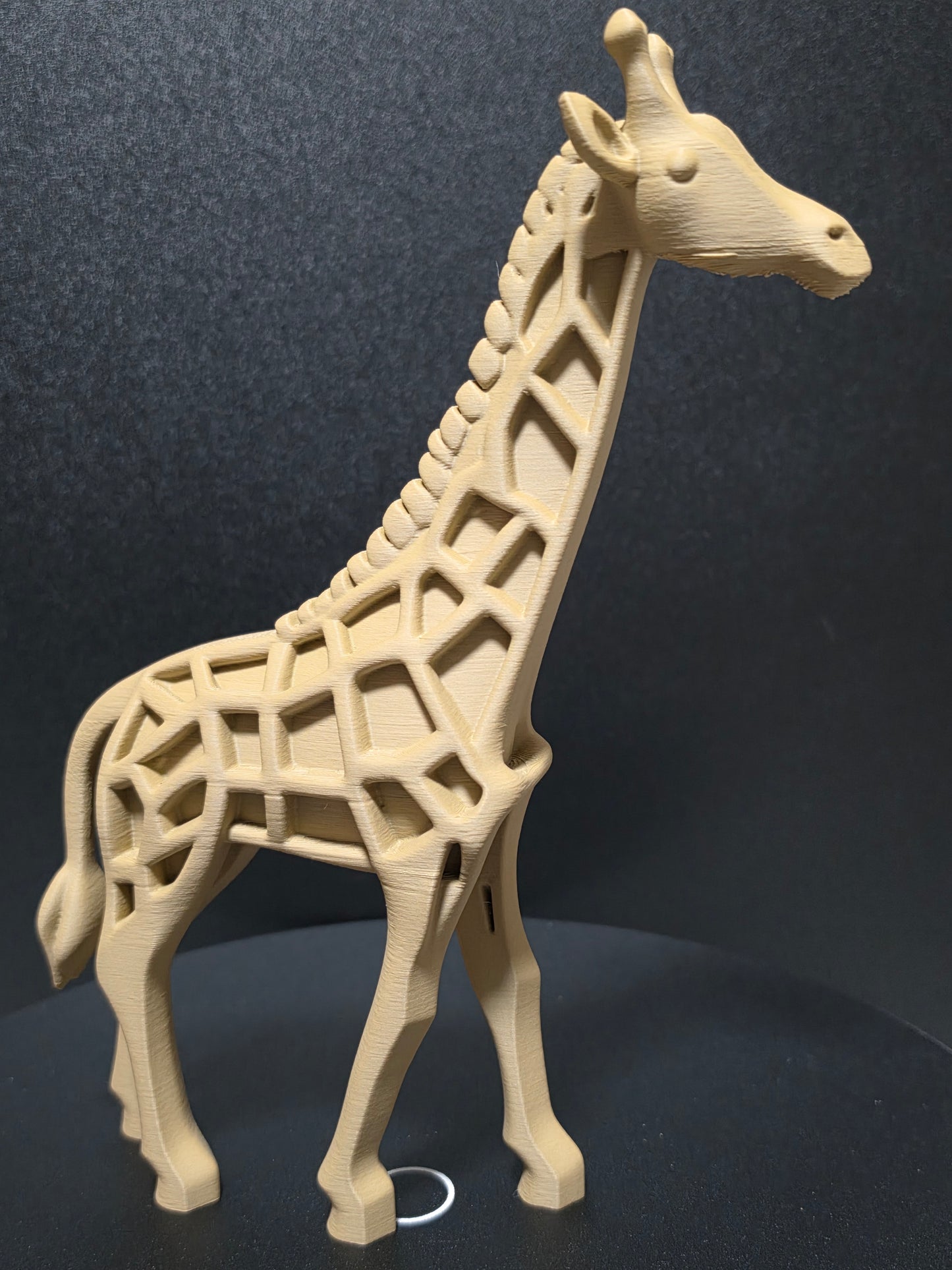 Wooden giraffe skeleton model on a dark background