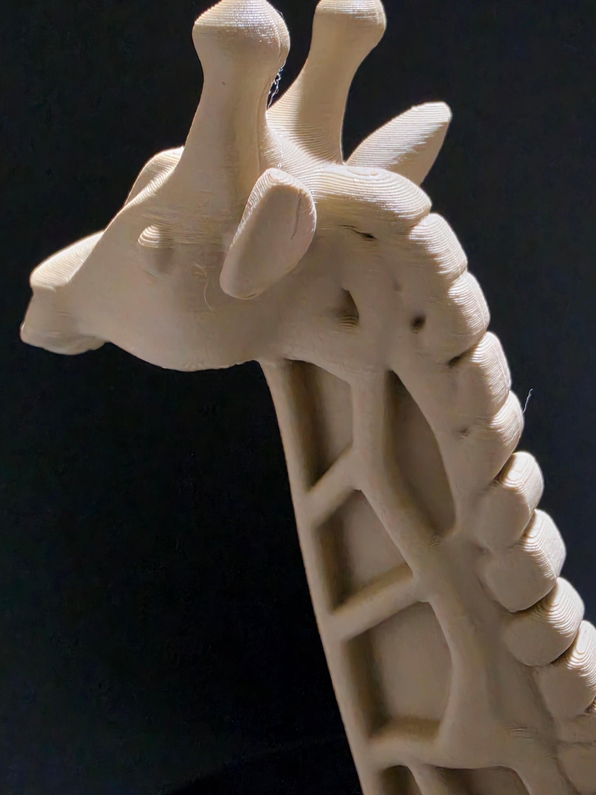 Close-up of a 3D-printed model of a human spine on a black background