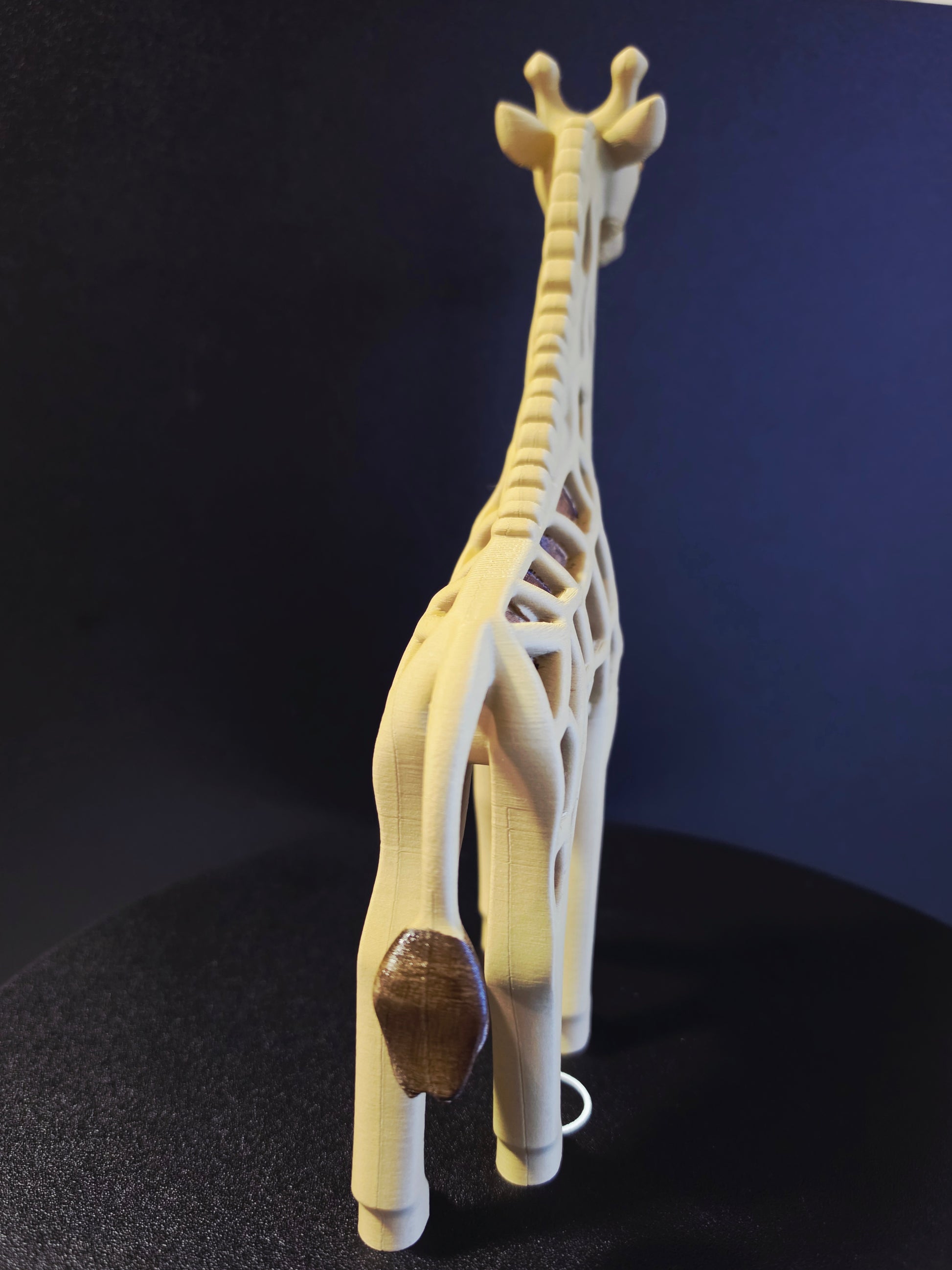3D model of a giraffe skeleton on a dark background