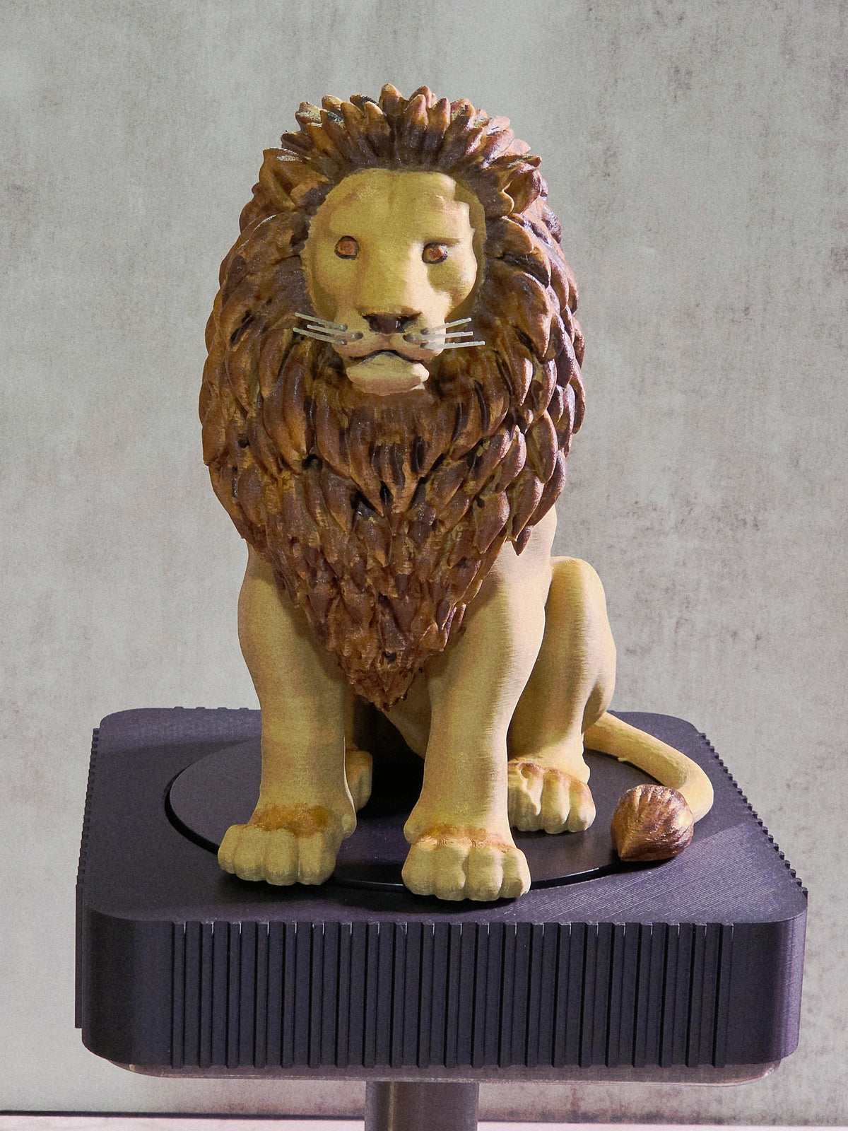 Seated Lion with a a painted main sculpture