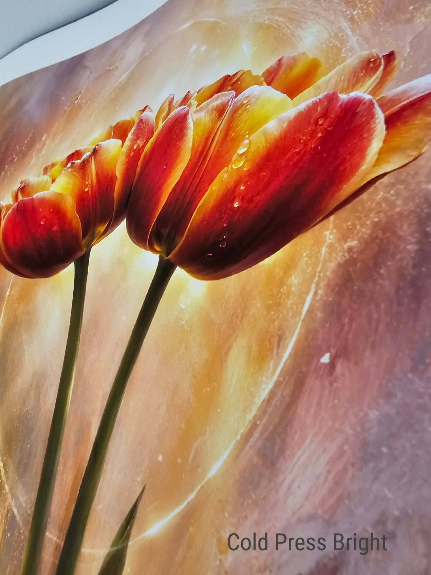 Quietud en el refugio - Garza Azul Pequeña