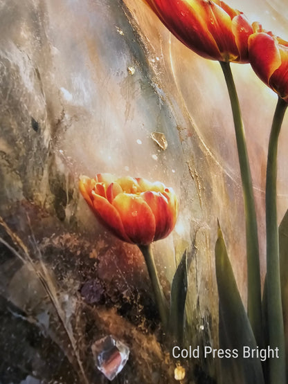 Quietud en el refugio - Garza Azul Pequeña