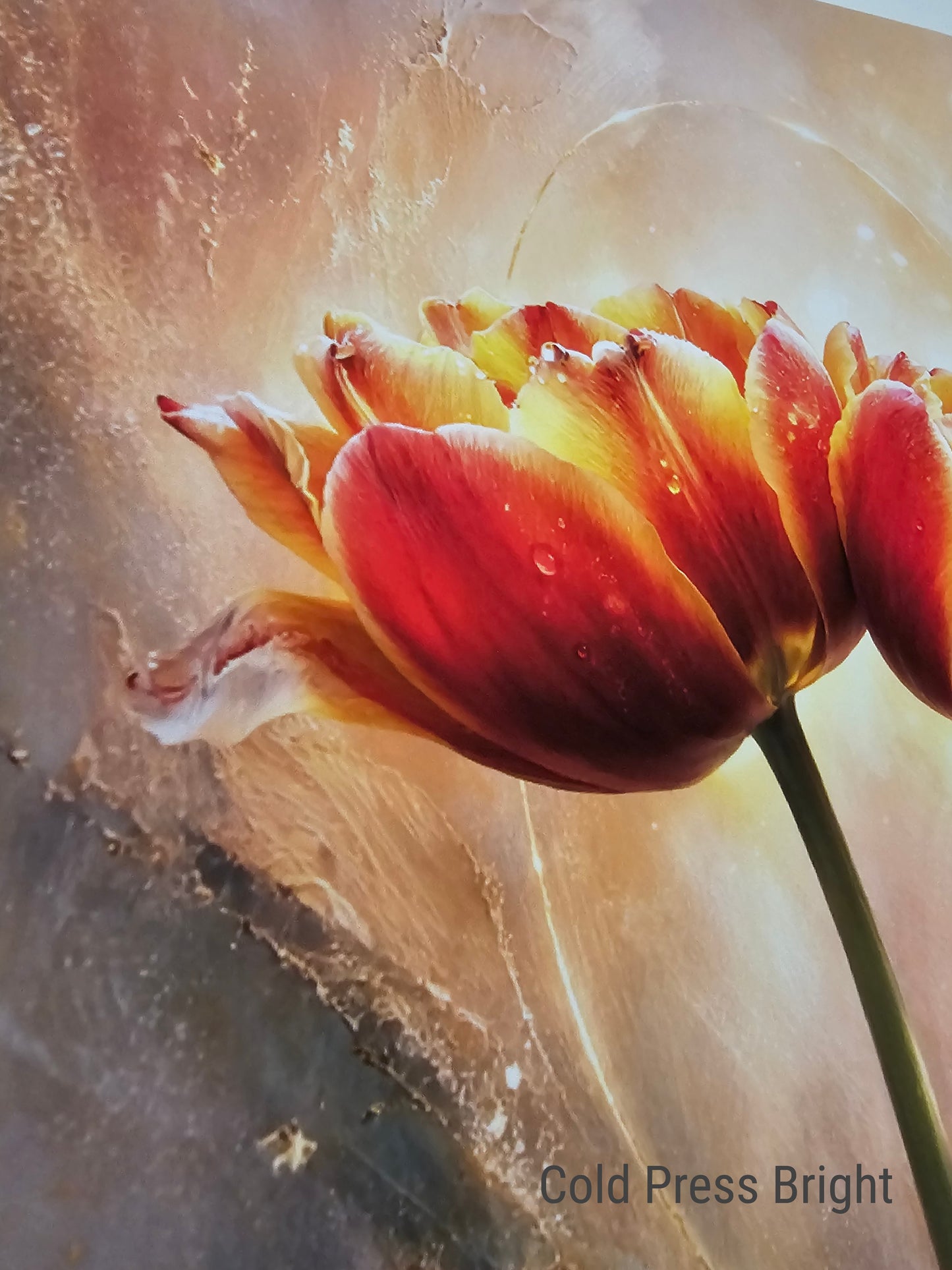 Quietud en el refugio - Garza Azul Pequeña