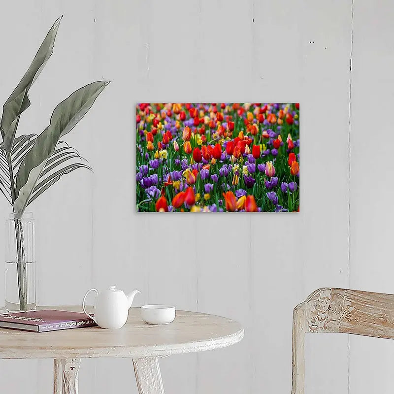 Tulip Garden Antoinette Washington Photography