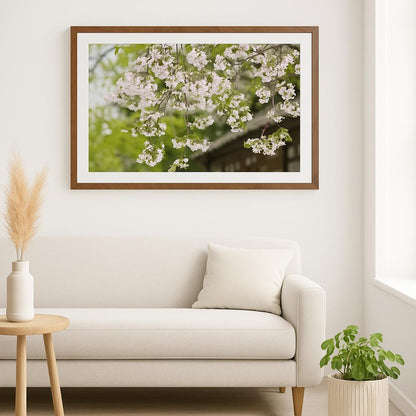 Susurros de flor de cerezo