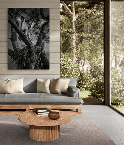comfy-living-room-with-outside-views with large black and white osprey wall art.