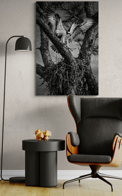 Modern interior with a black armchair, side table, and artwork of an eagle in a tree.