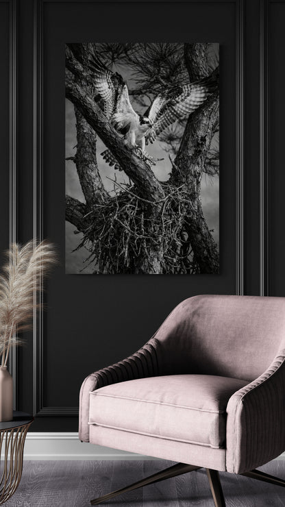 Framed black and white nature print on a dark wall with a pink chair below.